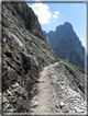 foto Pale di San Martino